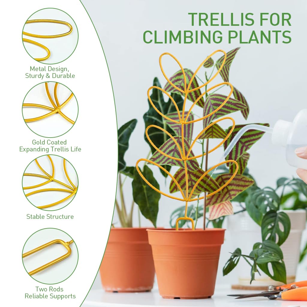 HASTHIP Plant Trellis for Climbing Plants Plant Pot Decoration 12.4 Inches Height Creative Metal Climbing Trellis for Home Decor Flower Pot Climbing Trellis for Plant Pot, Flower Bed, Planters HASTHIP Plant Trellis for Climbing Plants Plant Pot Decoration 12.4 Inches Height Creative Metal Climbing Trellis for Home Decor Flower Pot Climbing Trellis for Plant Pot, Flower Bed, Planters